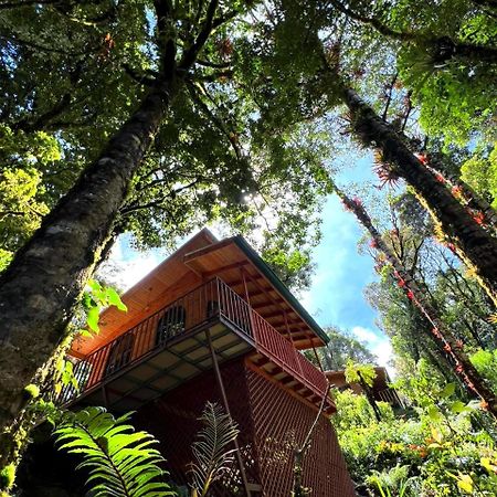 Cabana Anturios Сан-Хосе Экстерьер фото