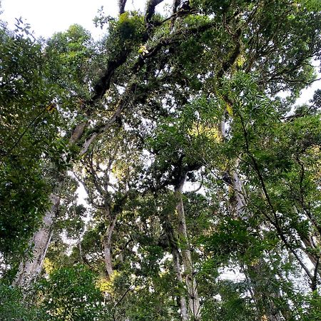 Cabana Anturios Сан-Хосе Экстерьер фото