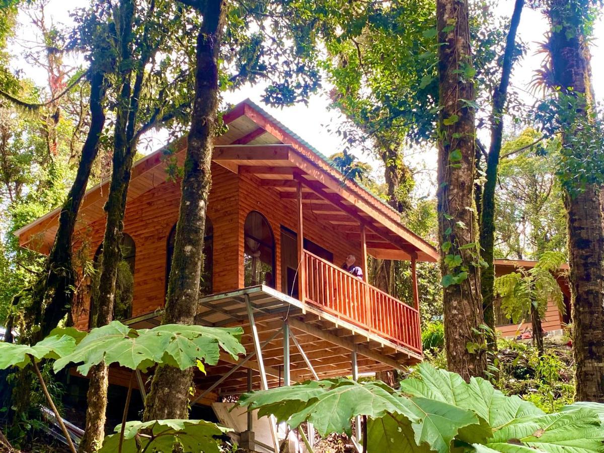 Cabana Anturios Сан-Хосе Экстерьер фото