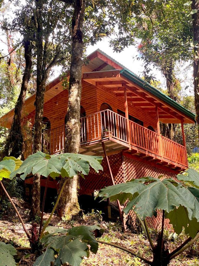 Cabana Anturios Сан-Хосе Экстерьер фото