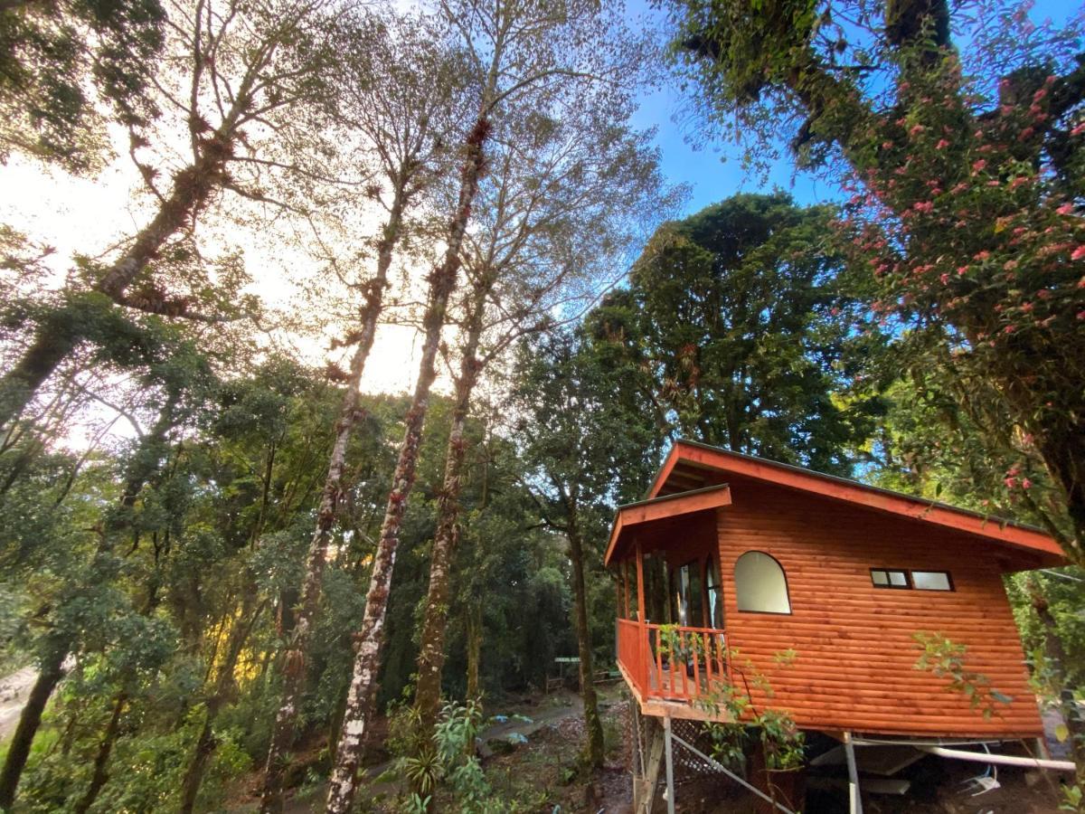 Cabana Anturios Сан-Хосе Экстерьер фото