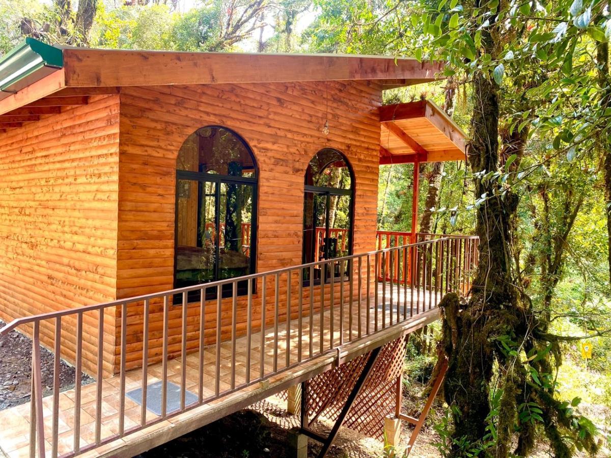 Cabana Anturios Сан-Хосе Экстерьер фото