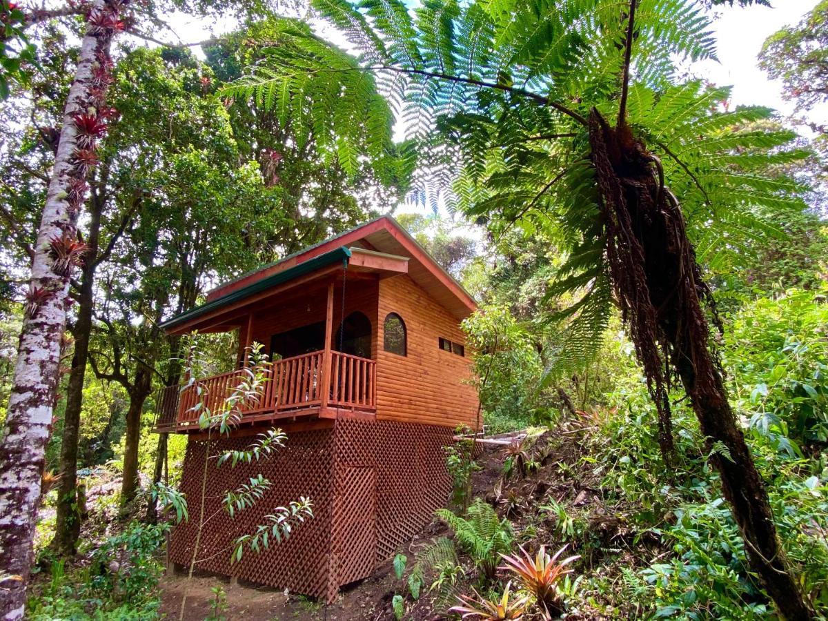 Cabana Anturios Сан-Хосе Экстерьер фото