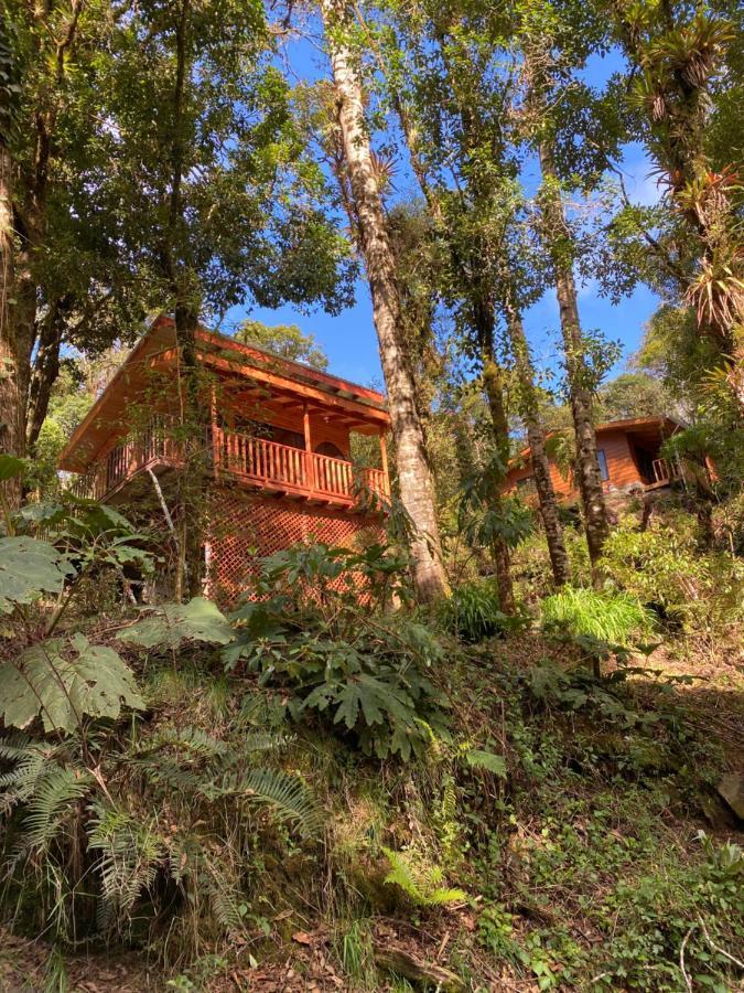 Cabana Anturios Сан-Хосе Экстерьер фото