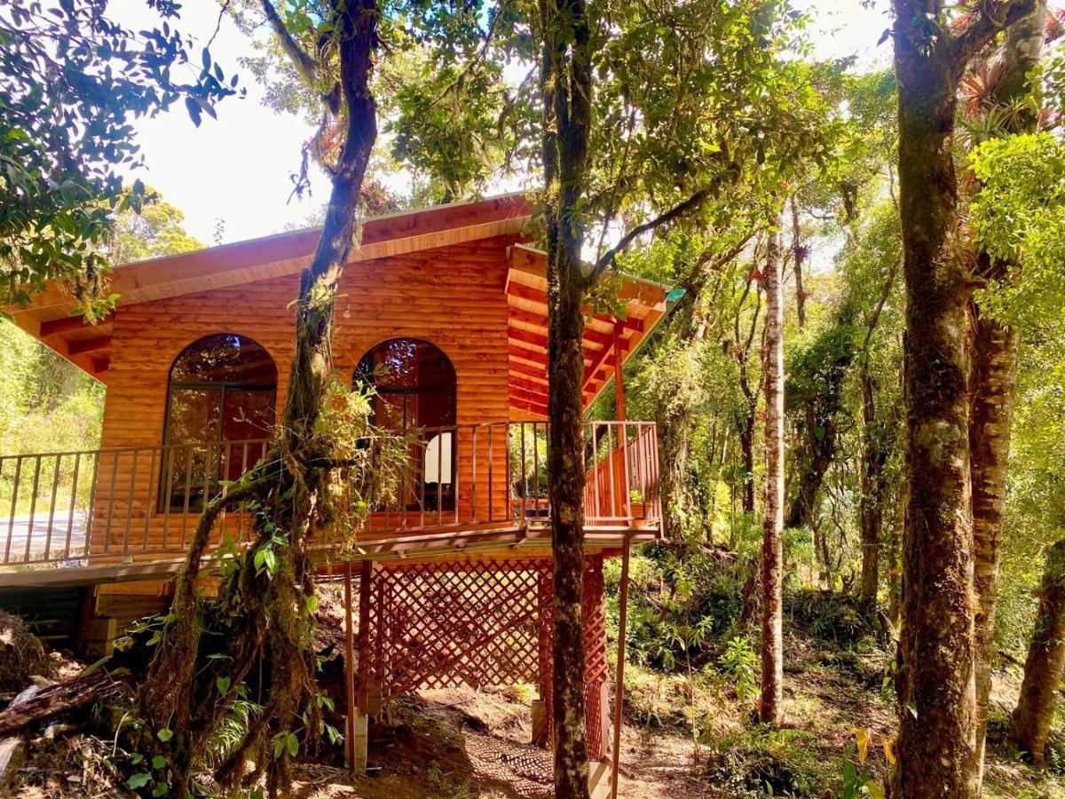 Cabana Anturios Сан-Хосе Экстерьер фото