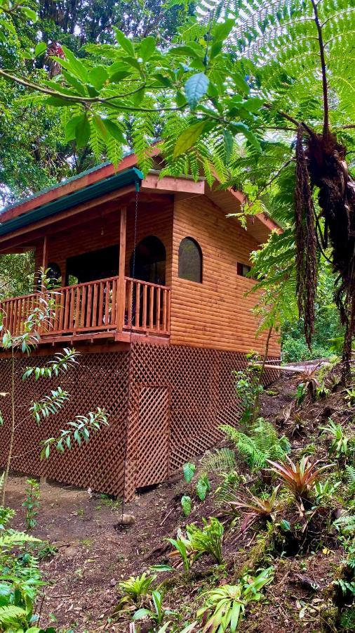 Cabana Anturios Сан-Хосе Экстерьер фото