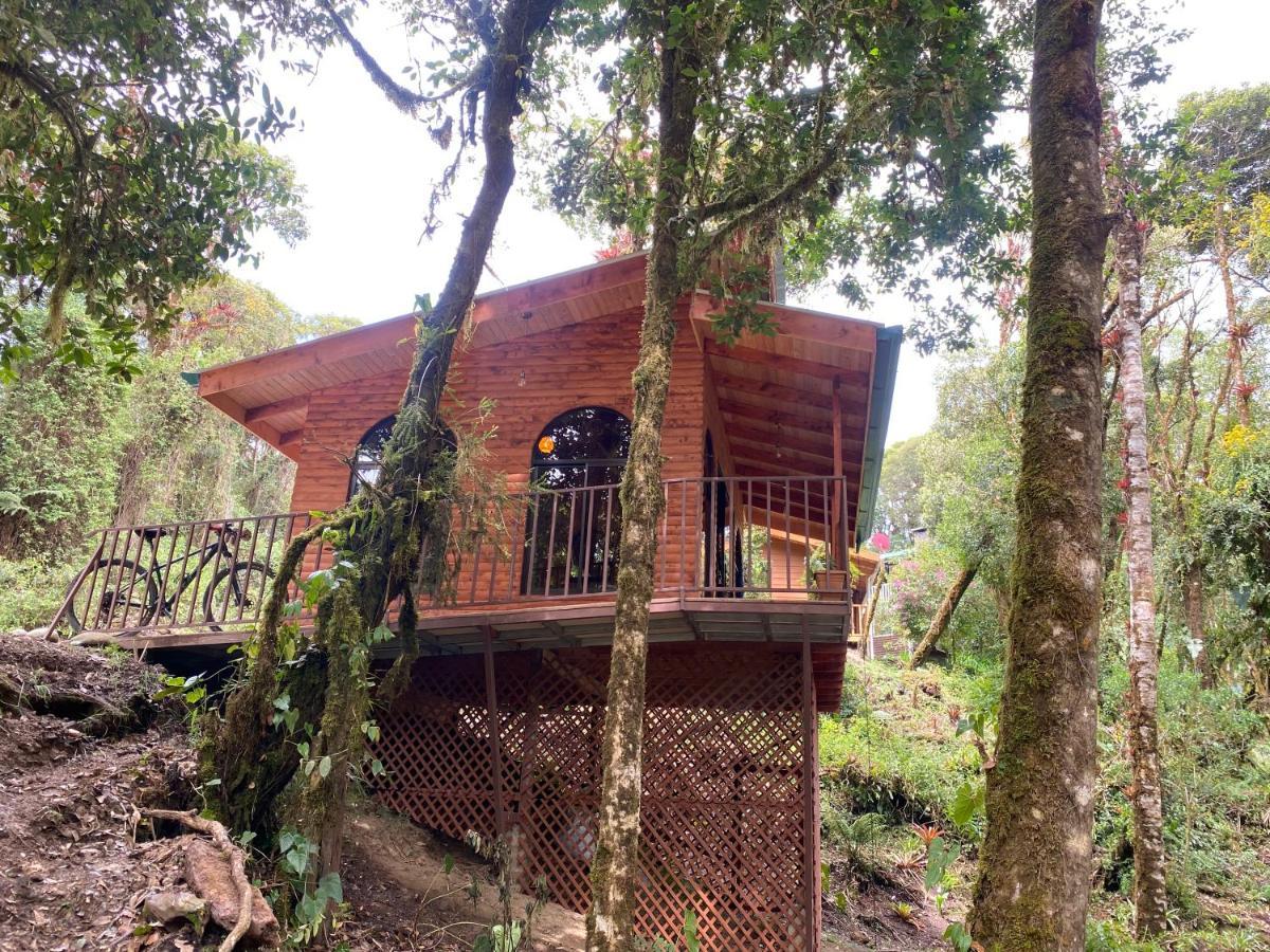 Cabana Anturios Сан-Хосе Экстерьер фото