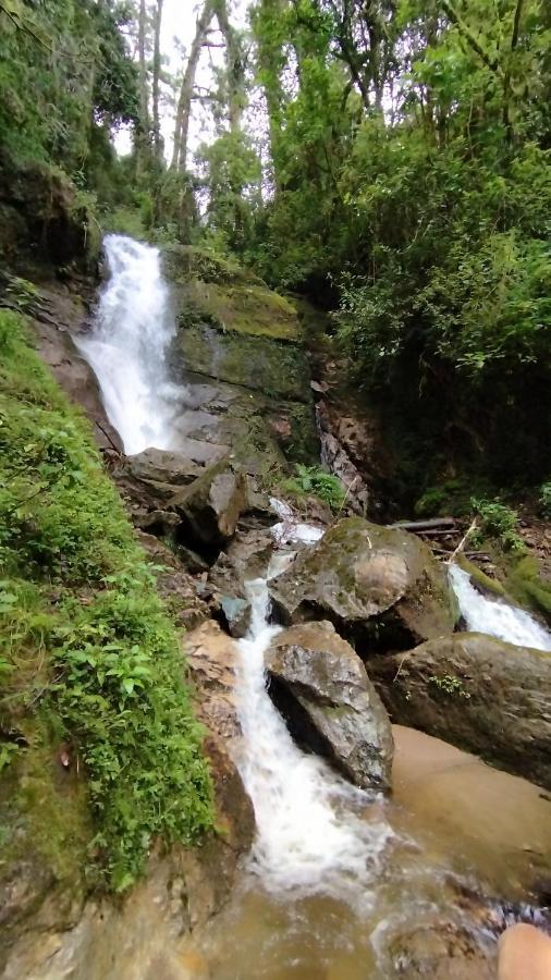 Cabana Anturios Сан-Хосе Экстерьер фото