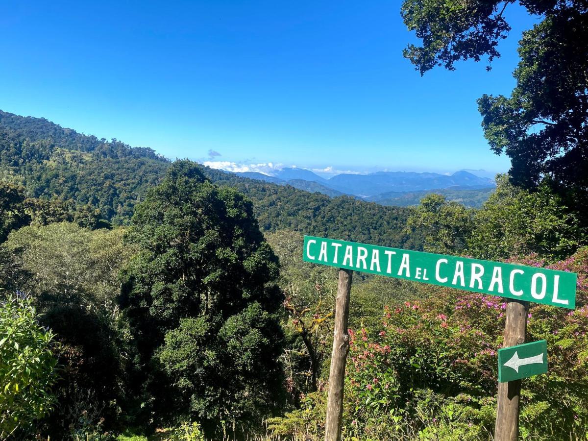 Cabana Anturios Сан-Хосе Экстерьер фото