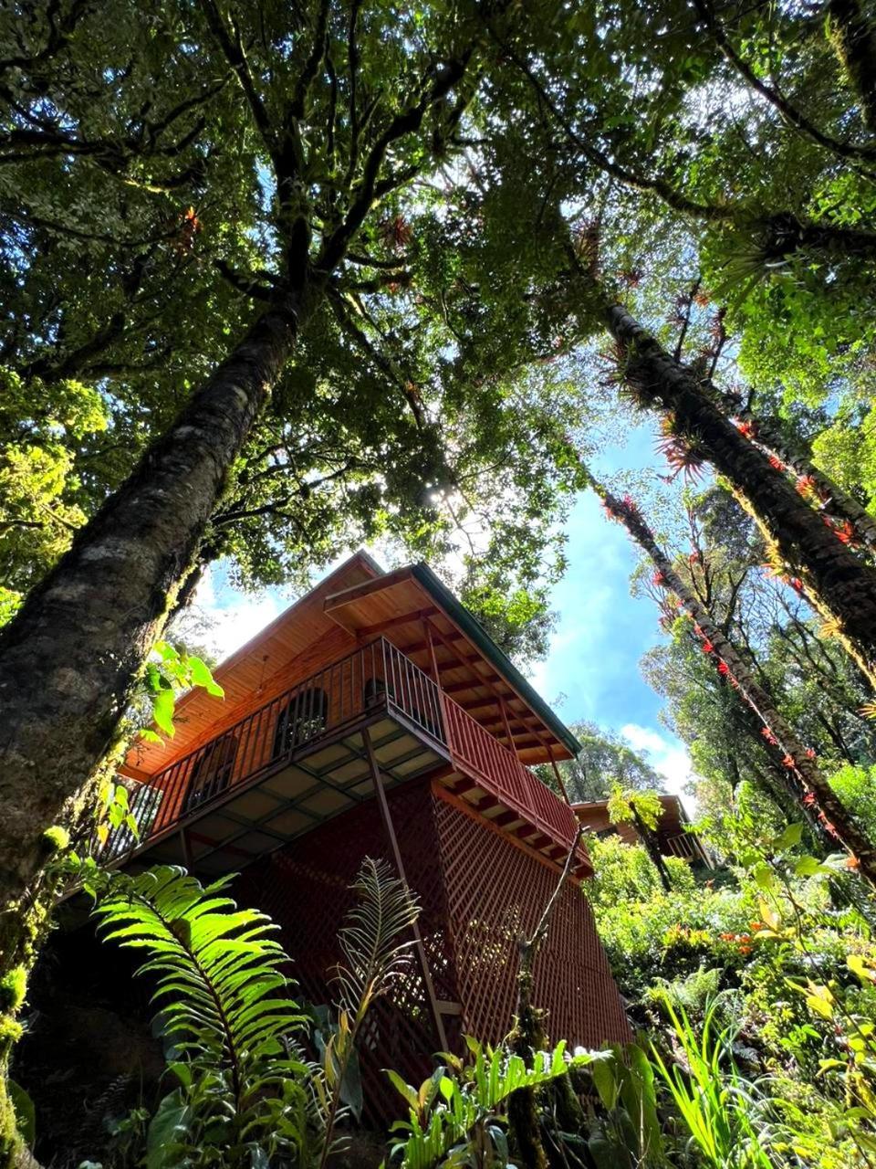Cabana Anturios Сан-Хосе Экстерьер фото