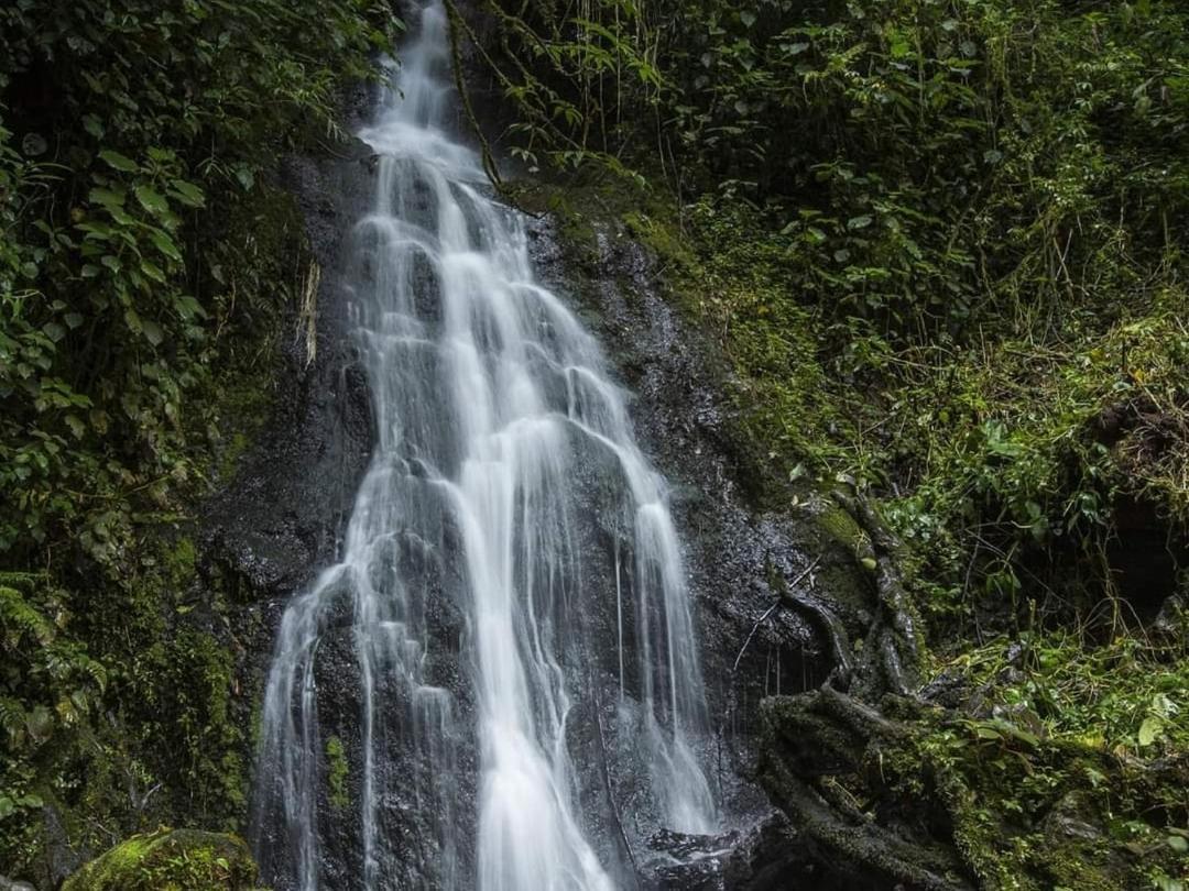 Cabana Anturios Сан-Хосе Экстерьер фото